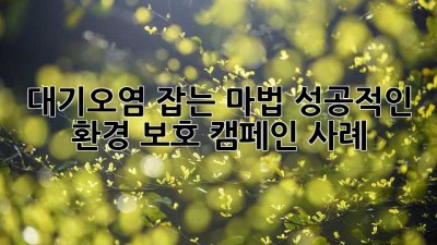 대기오염 잡는 마법: 성공적인 환경 보호 캠페인 사례