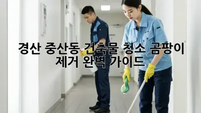 경산 중산동 건축물 청소: 곰팡이 제거 완벽 가이드
