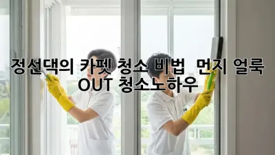 정선댁의 카펫 청소 비법 ✨ 먼지, 얼룩 OUT! #청소노하우